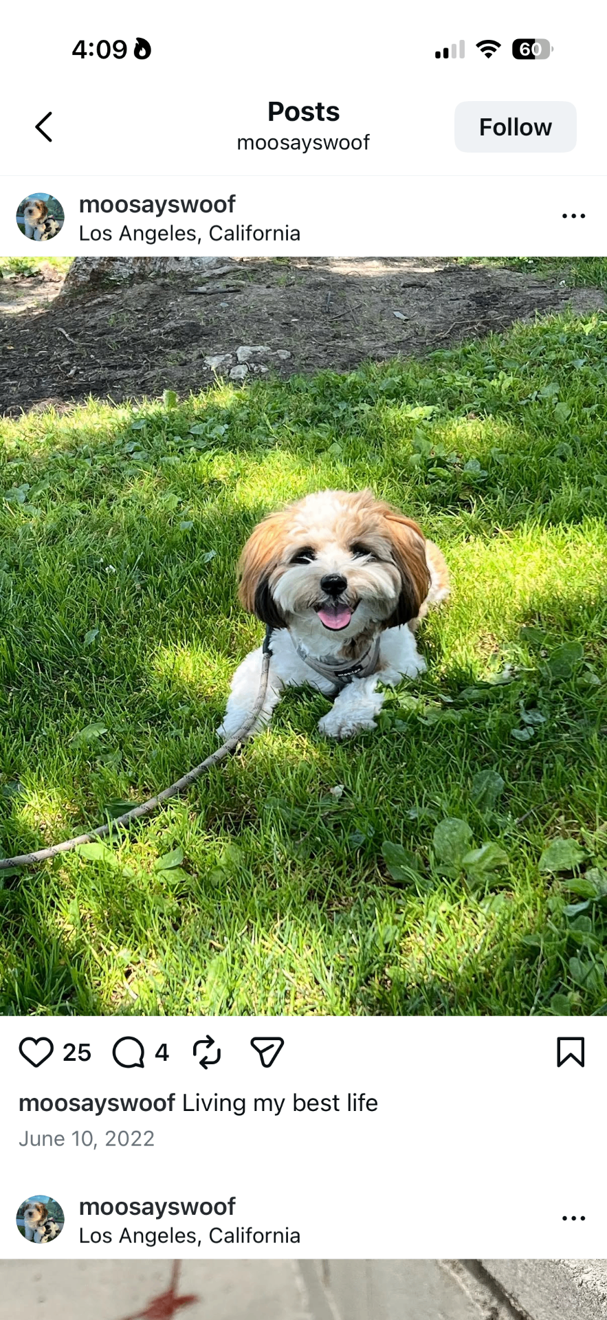 Moo, AlmaProtect Lead Engineer, Bark Infrastructure