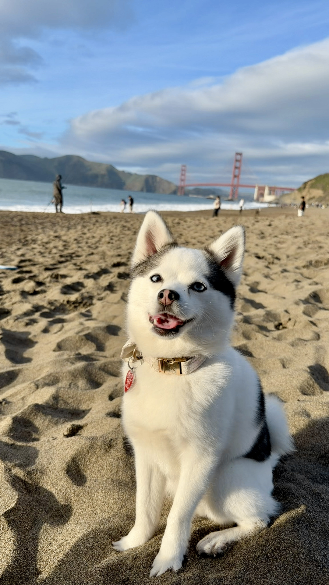 Mochi, AlmaProtect Head of Perimeter, Pomsky Division