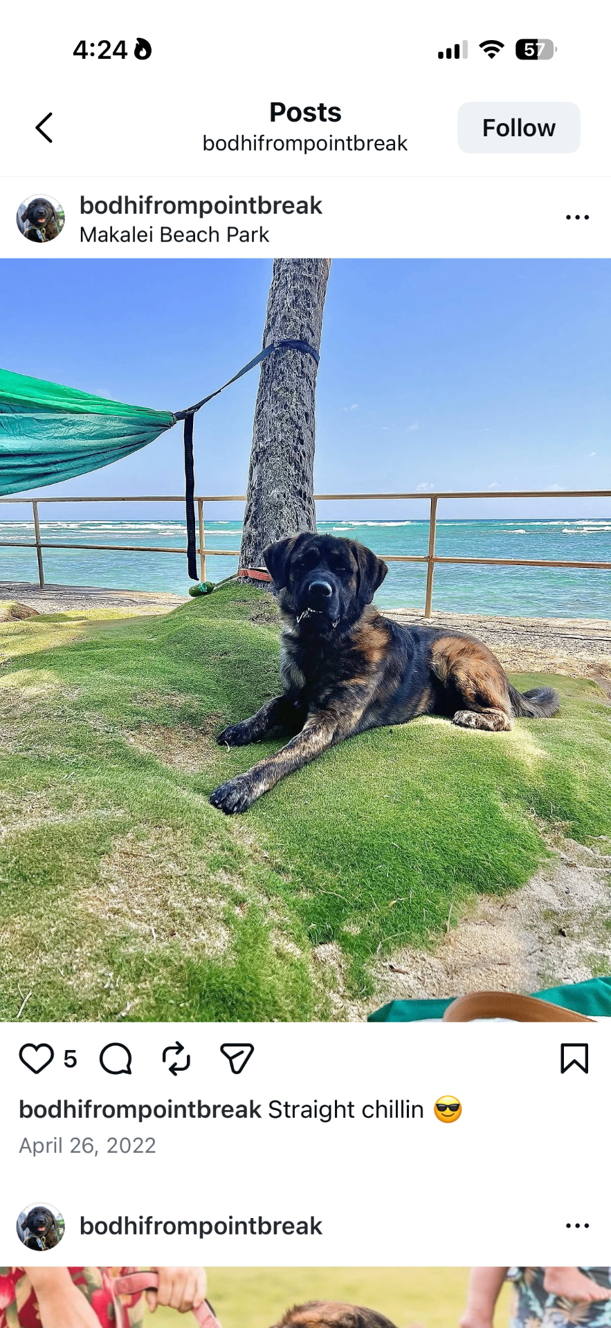 Bodhi, AlmaProtect Director of Coastal Reconnaissance