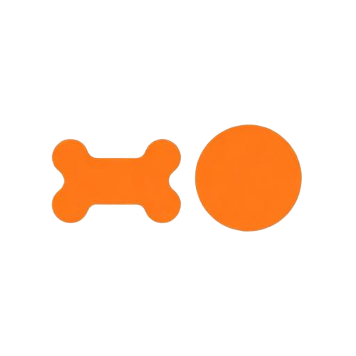 A bone and two balls
